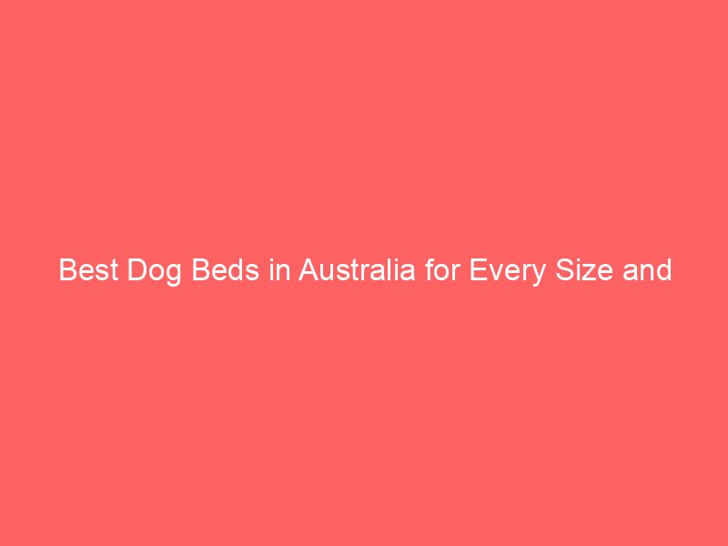Best Dog Beds in Australia for Every Size and Breed