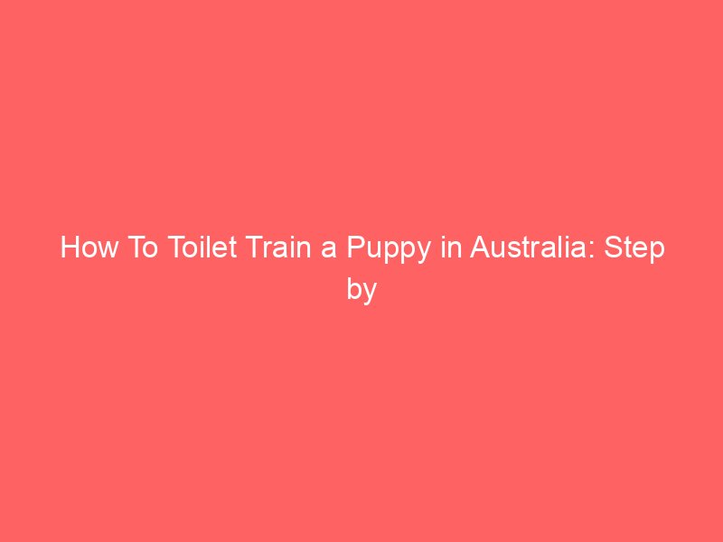 How To Toilet Train a Puppy in Australia: Step by Step