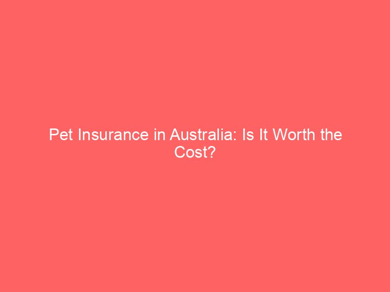 Pet Insurance in Australia: Is It Worth the Cost?
